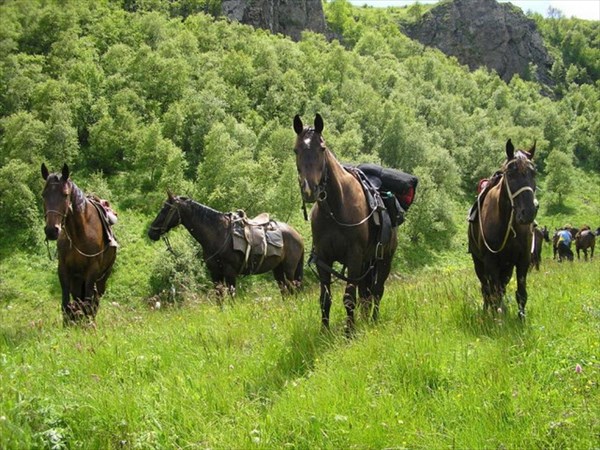 Конные походы в горах кавказа_08